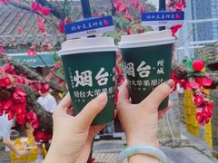 -养马岛旅游度假区