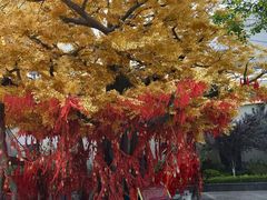 景点-济南方特东方神画