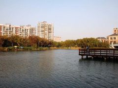 -新江湾城公园