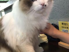 -咖法森林·咖啡  酒吧(天河店)