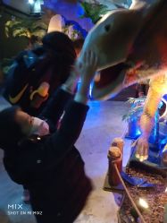 -恐龙探索乐园(磁器口店)