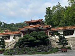 -深圳仙湖植物园