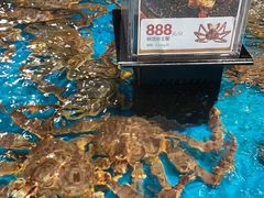 -盒马鲜生(曜一城店)