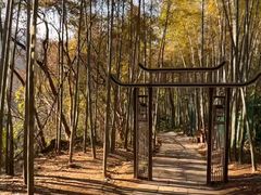 -杭州黄龙洞