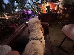 德国烤香肠-咖法森林·咖啡  酒吧(天河店)