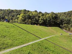 -龙坞茶村