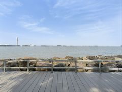 -上海吴淞炮台湾国家湿地公园