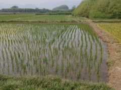 -良渚古城遗址公园