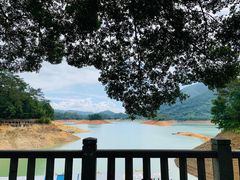 -广州市流溪河国家森林公园