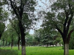 -汉长安城未央宫国家考古遗址公园