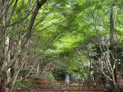 -三千院