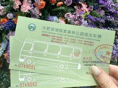 -合肥滨湖国家森林公园