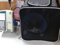 -联合动物医院(光谷诊疗中心)