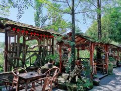 -青城甲(青城山店)