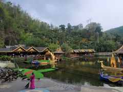 -西双版纳原始森林公园