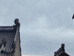 -句容茅山景区