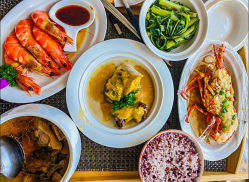 -臻康乃馨月子中心(集美店)