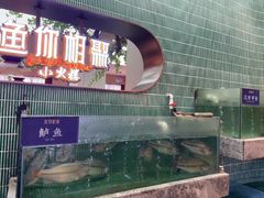 -鱼你相聚·河鲜馆(袁家岭店)