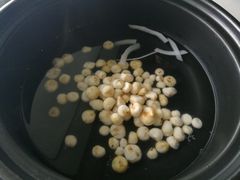 珍珠马蹄-百年果林椰子鸡(中洲店)