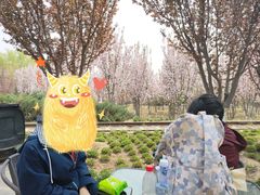 -永定河休闲森林公园