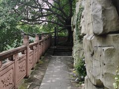 -成都市活水公园