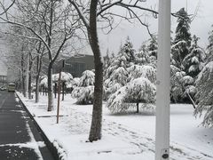 -同济大学(嘉定校区)