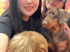 -和它·交个朋友·狗咖猫咖(爱琴海店)