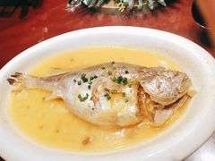 清蒸大黄鱼-森谷美食公园(杨行店)