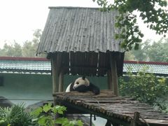 -柳州市动物园