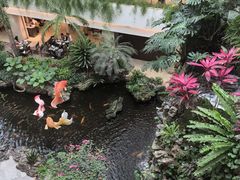 -白天鹅宾馆-宏图府餐厅
