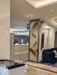 -深圳米兰柏羽医疗美容医院