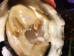 -囧吉香生蚝牛排馆(湖北路店)