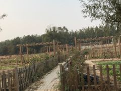 -月河湾马术俱乐部(朝阳店)