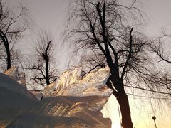 -长春市南湖公园