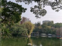 -晓港公园