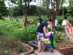 -美的鹭湖探索王国