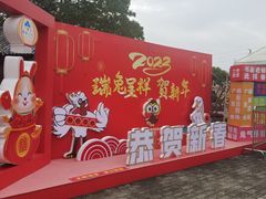 -大湾区中央湿地公园
