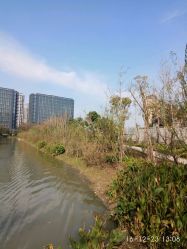 点击看大图 -侨治发型