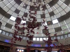 -万达广场(松江店)
