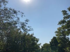 -吴淞炮台湾湿地森林公园烧烤区
