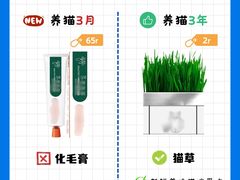 -猫十亿·布偶金渐层·曼基康矮脚猫舍(青年路店)