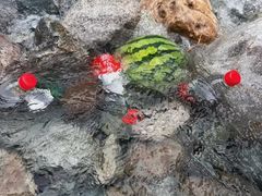-虹口漂流