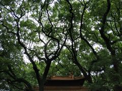 -普陀山风景名胜区-法雨禅寺