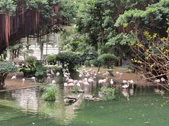 -九龙公园