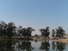 -两河城市森林公园