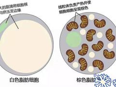 -OneFit健身(汇锦城店)