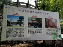 -灵光寺