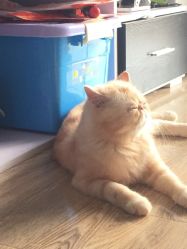 -ASG Hair Salon烫染·接发