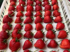 -南坛综合农贸市场