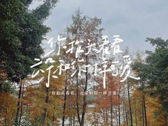 -东莞植物园